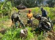 Prajurit Buaya Putih Dorong Produktivitas Lahan Kosong di Kampung Jenggernok Puncak Papua