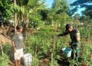 Prajurit Naga Karimata Dukung Pengembangan Pertanian di Desa Inbate NTT