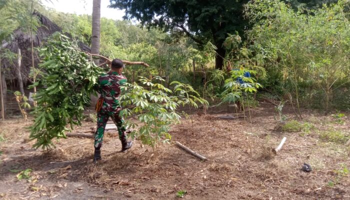Gotong Royong Bersihkan Lingkungan Desa Netemnanu: Inisiatif Pos Oepoli Sungai untuk Kebersihan Lingkungan