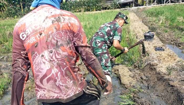 Babinsa Pegambiran Dampingi Poktan Sirandu Jaya di Kota Cirebon