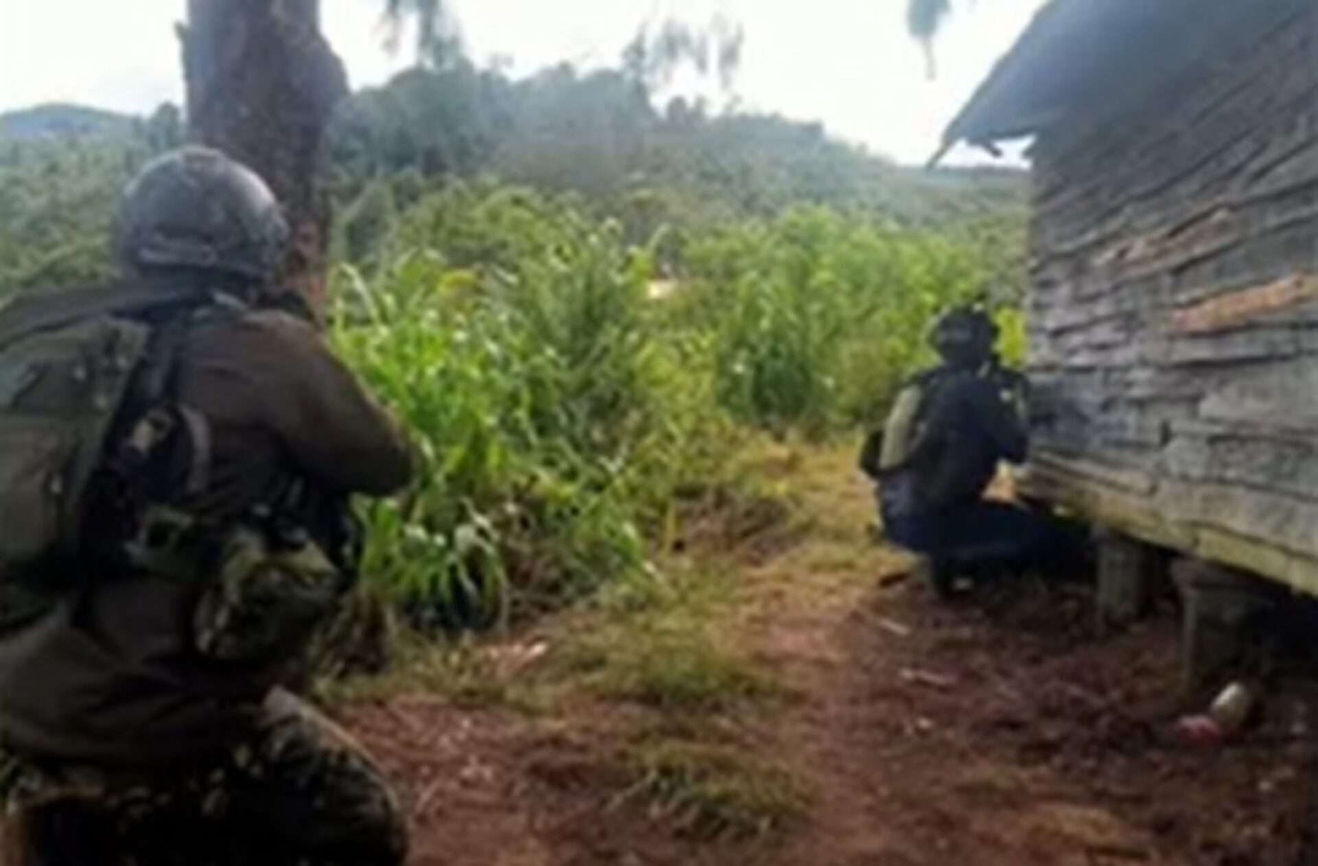 TNI Rebut Distrik Bibida dari OPM Pasca Penembakan Warga Sipil di Paniai