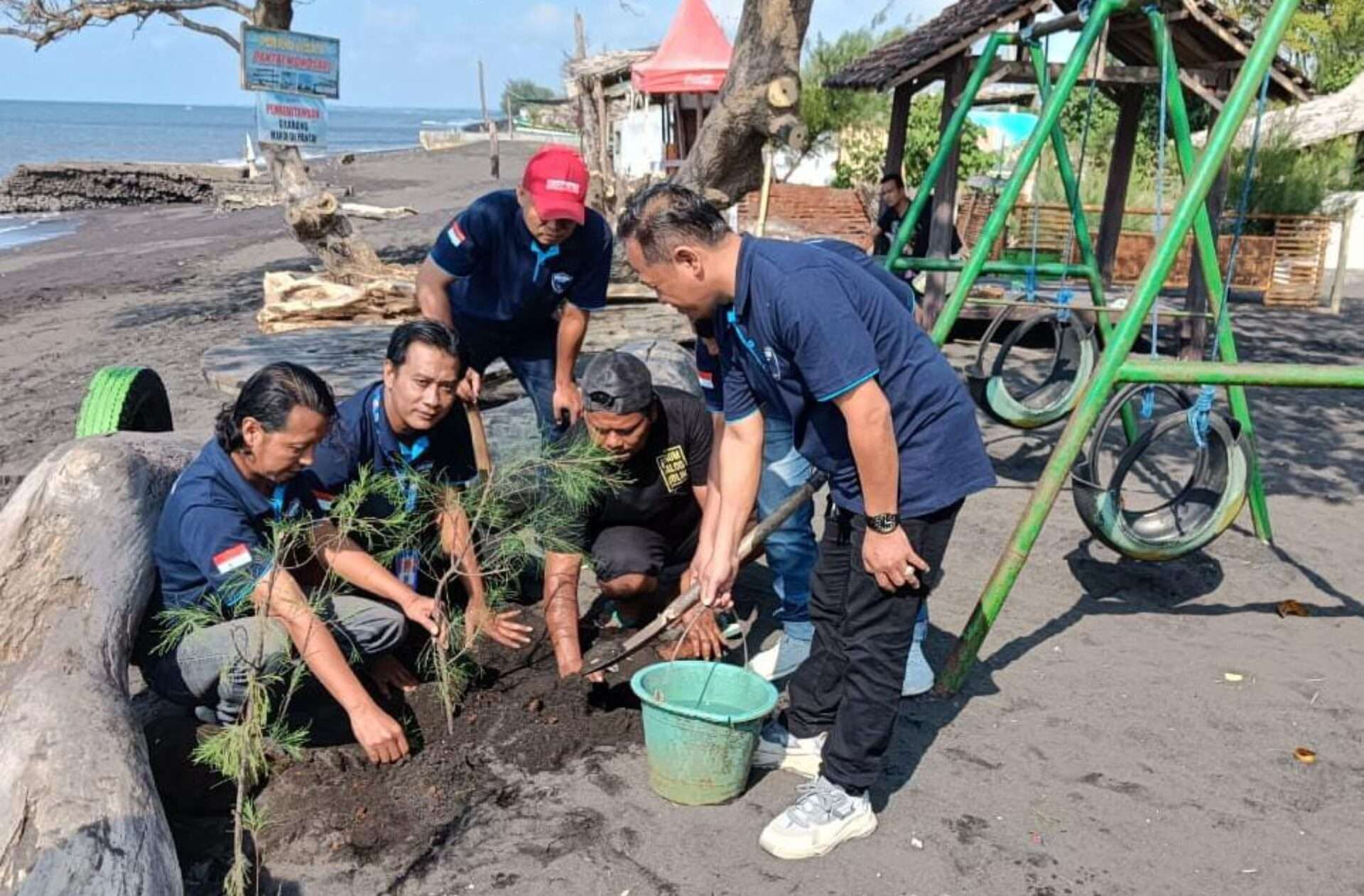 Aksi Penanaman 50 Bibit Pohon Cemara di Pantai Wisata Wonosari Banyuwangi