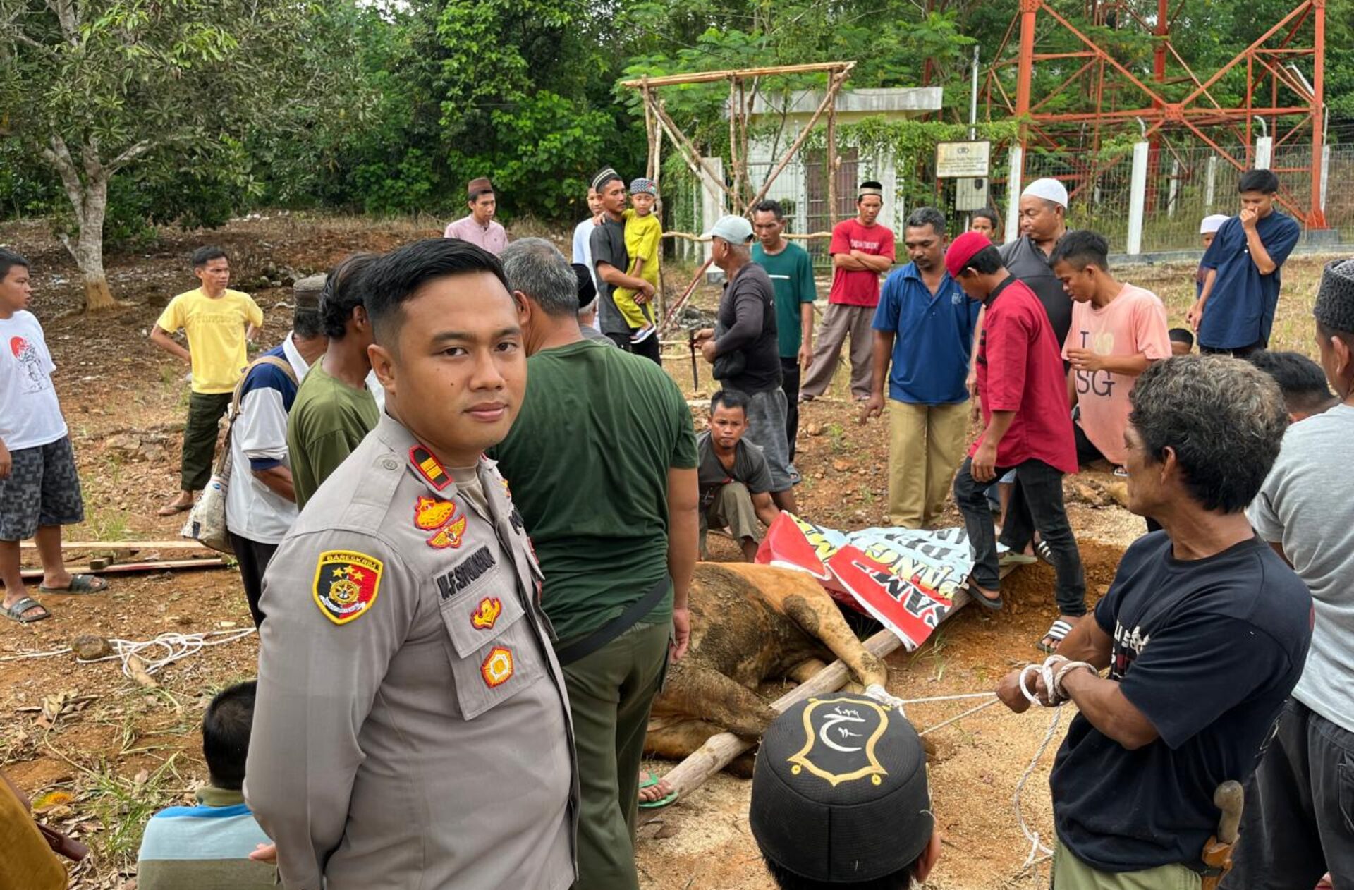 Berbagi Kebaikan di Hari Raya Iduladha: Polsek Simpang Rimba Bagikan Hewan Kurban