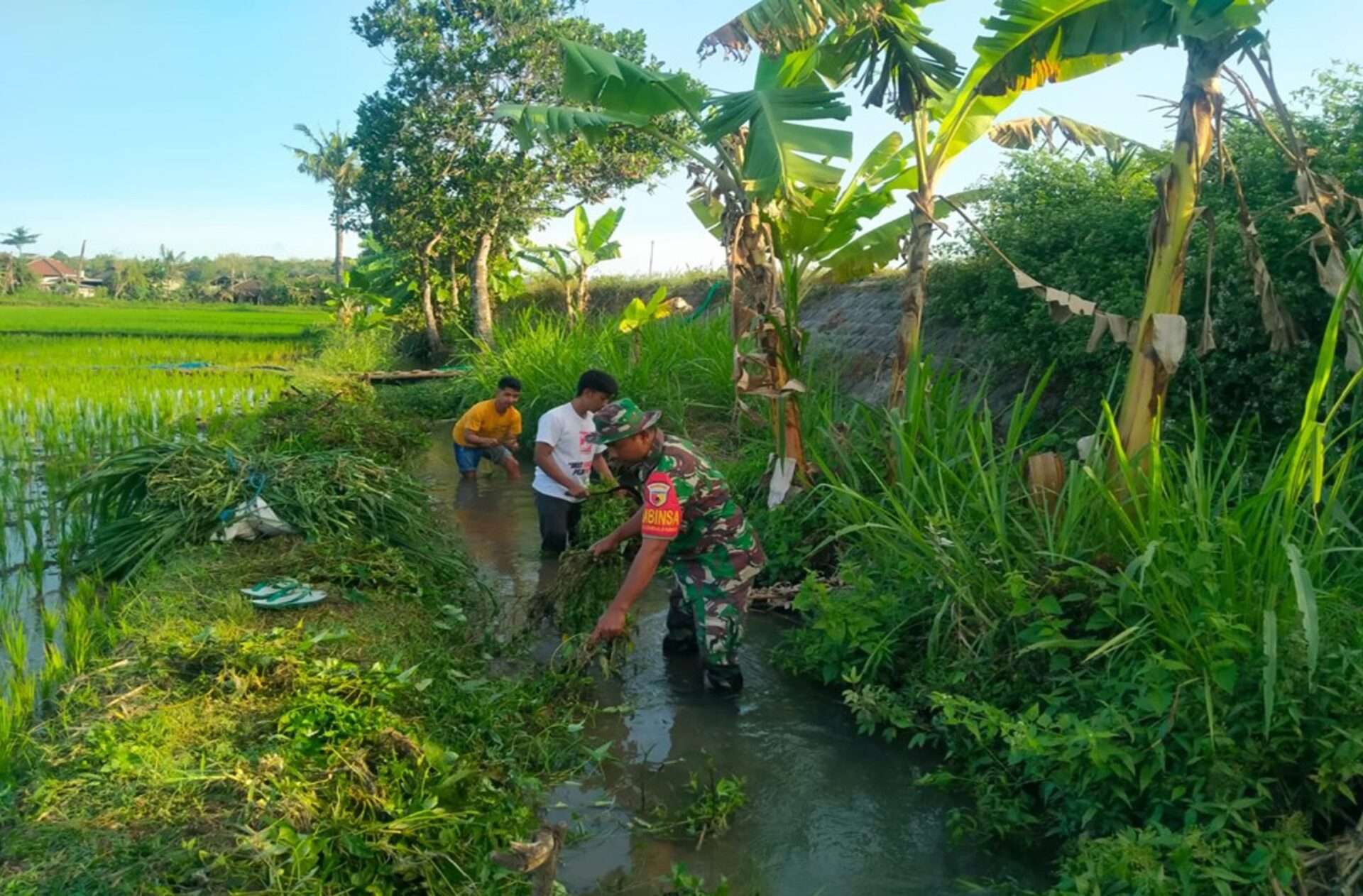 Kerja Bakti Pembersihan Saluran Irigasi di Blitar