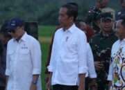 Panglima TNI Dampingi Presiden Jokowi Tinjau Lokasi Ketahanan Pangan di Merauke