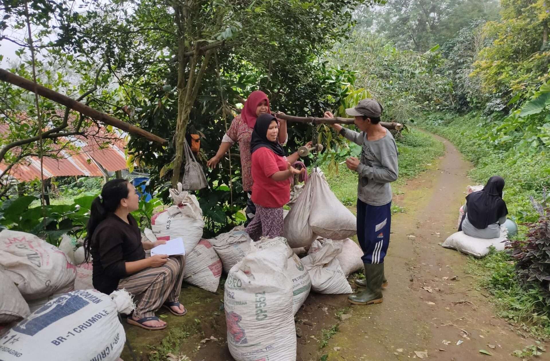 Senyum Petani Kopi Buleleng: Wayan Inwan dan Kegembiraan di Tengah Tingginya Harga Kopi