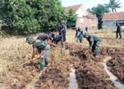 TMMD Kodim 0620/Kab Cirebon: TNI-Polri Bantu Petani di Desa Kubang