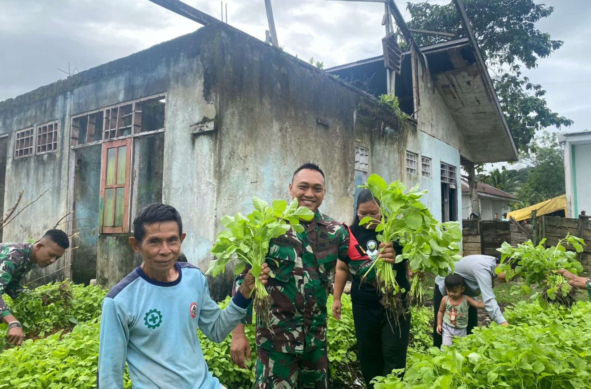 Satgas Pamtas RI-PNG Yonif 762/VYS Gelar Panen Perdana Sayuran di Kampung Metnayam