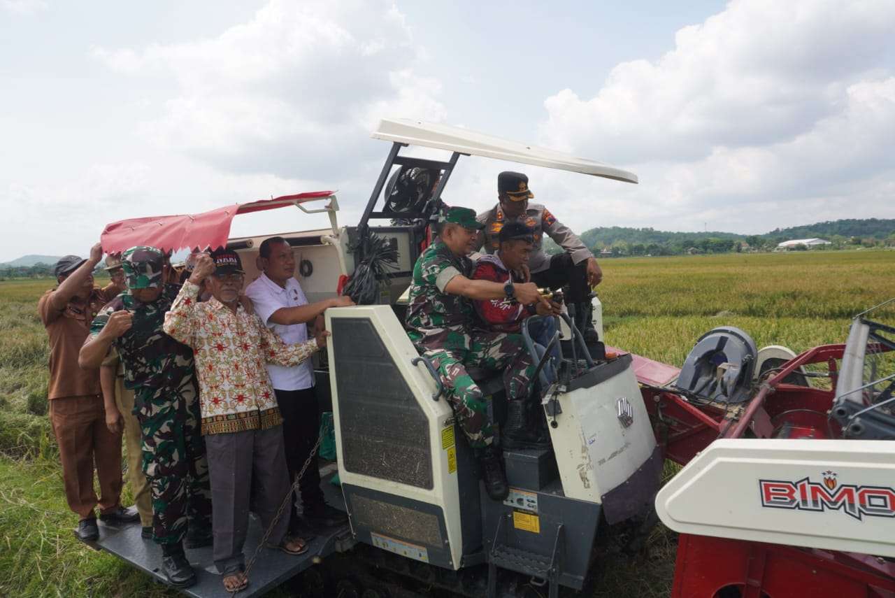 Sinergitas TNI, Polri, dan Petani: Panen Raya di Desa Grajegan Bukti Keberhasilan Kolaborasi