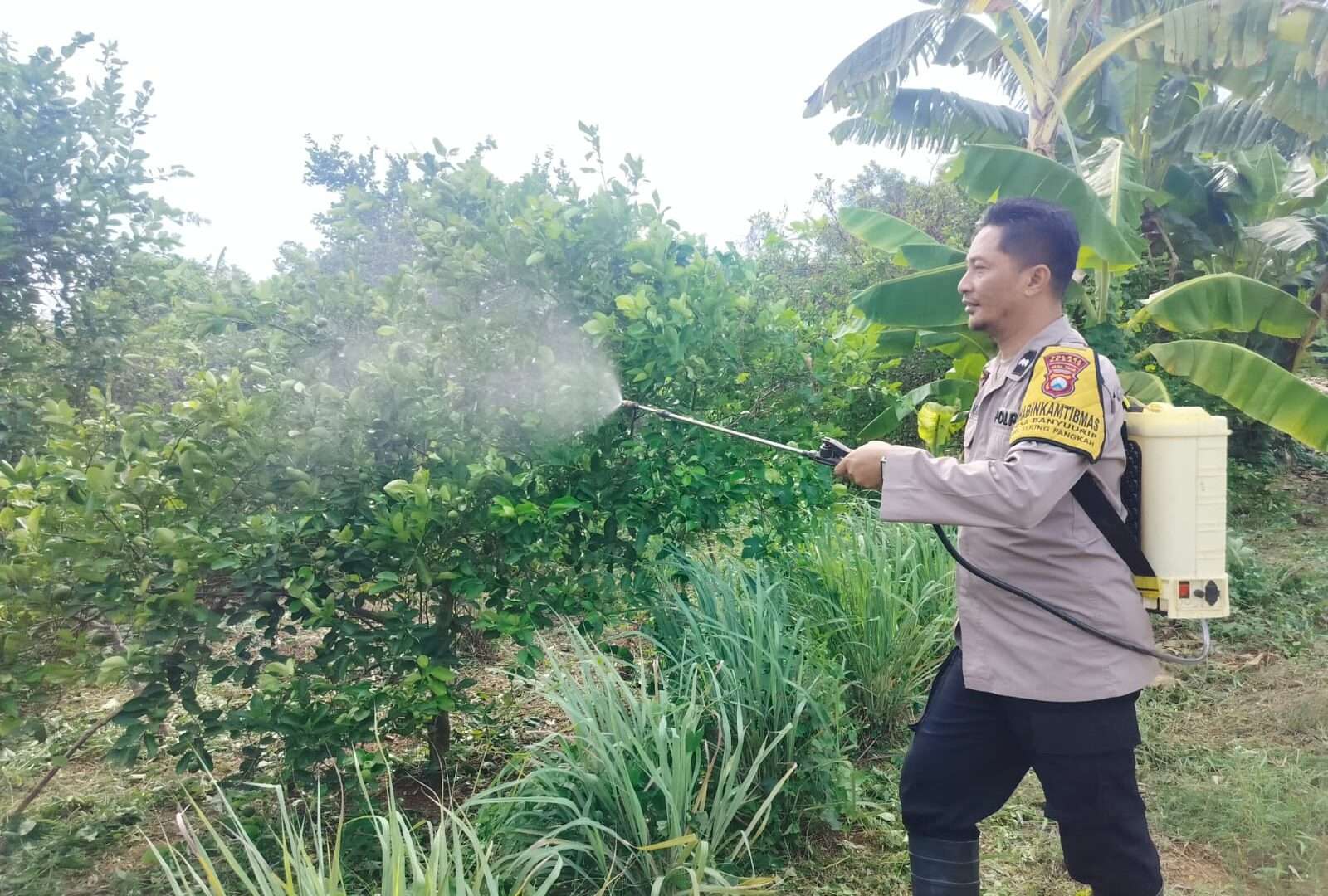 Bhabinkamtibmas Desa Kebon Agung Optimalkan Lahan Kosong, Dukung Ketahanan Pangan dan Inovasi Desa