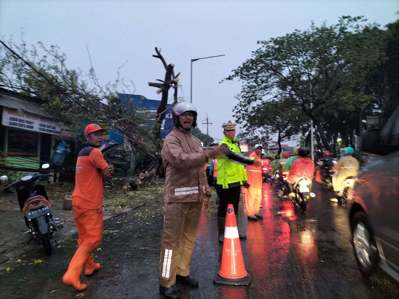 Pohon Tumbang di Joglo, Polsek Kembangan Sigap Tangani Insiden Tanpa Korban Jiwa