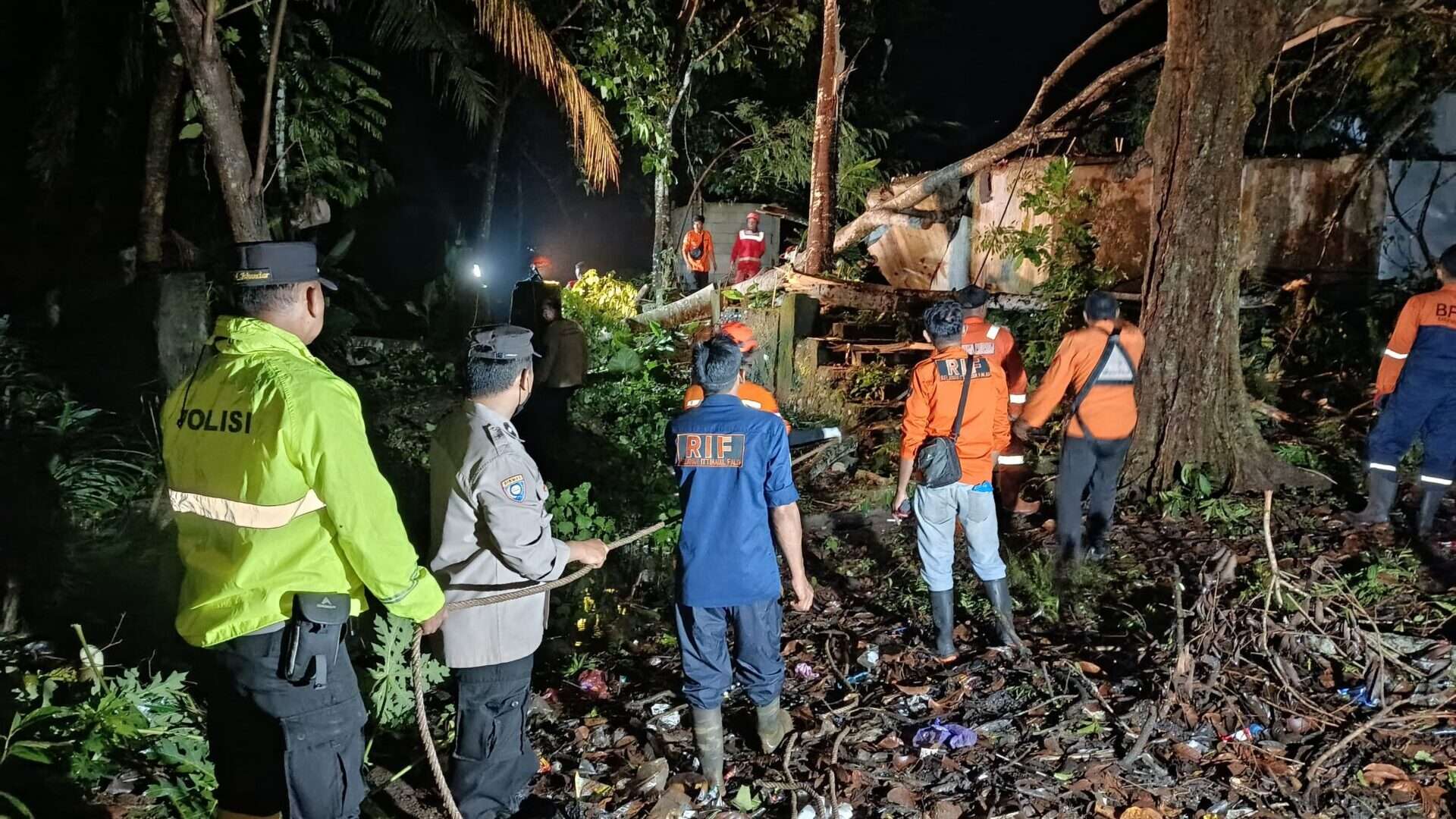 Hujan Deras dan Angin Kencang di Purbalingga, Dua Pohon Tumbang Timpa Musala