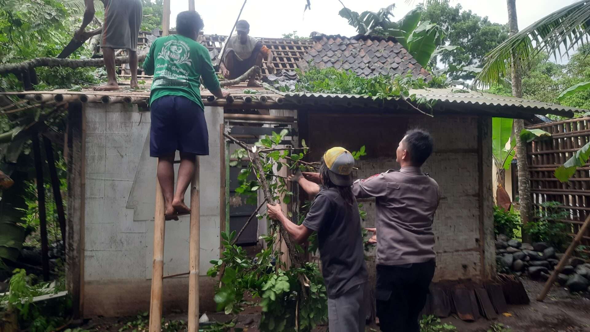 Hujan Lebat dan Angin Kencang di Purbalingga, Pohon Tumbang Timpa Rumah Warga