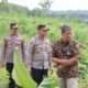 Kapolres Sragen Tinjau Persiapan Program Penanaman Jagung Serentak 1 Juta Hektar